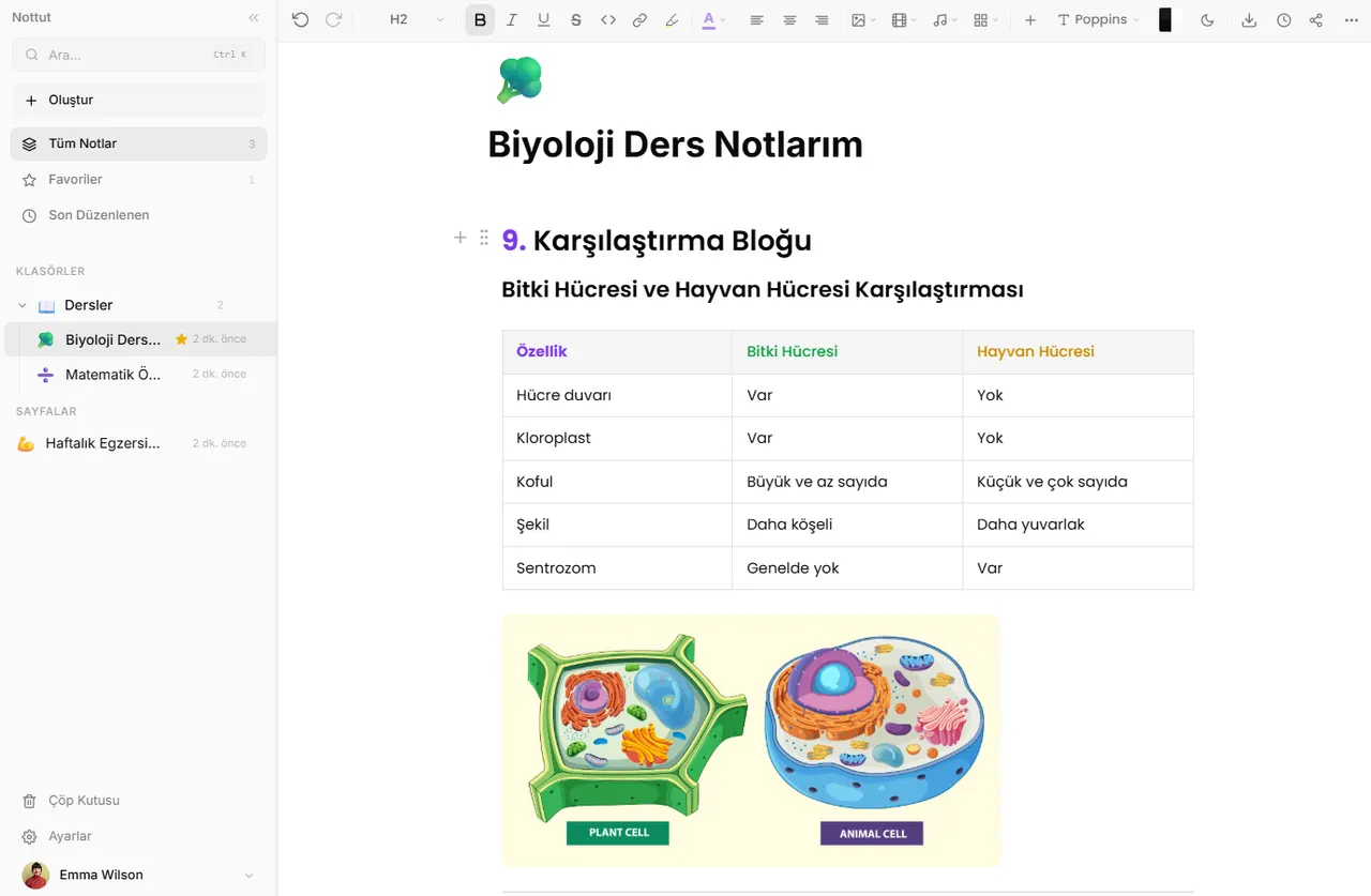 Nottut ücretsiz not uygulaması — blok editör, klasör organizasyonu ve tema sistemi arayüzü